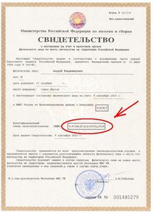 Как узнать свою задолженность по ИНН