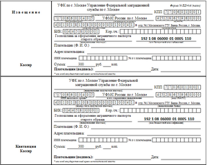 Реквизиты для оплаты квитанции на загранпаспорт нового и старого образца