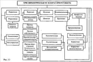 Профессиональная преступность разновидность преступности