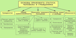 Судимость правовой статус гражданина